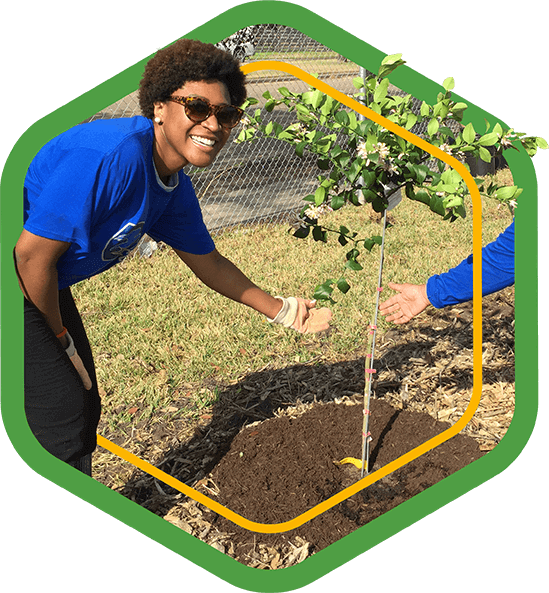 A green badge showing a woman admiring a small tree she planted