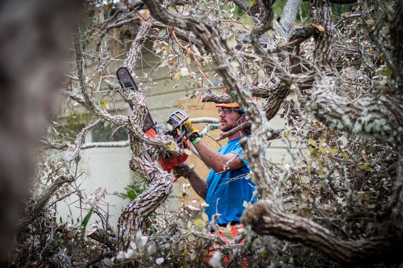 A Houston ToolBank volunteer cutting down limps of a fallen tree with a chainsaw